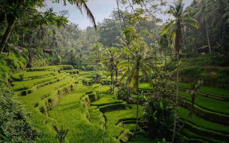 Gate of Heaven, Water Palace, Lahangan, and Coffee Process