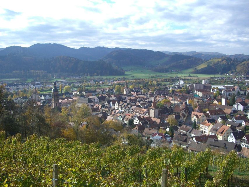 Gengenbach: Private Guided Walking Tour