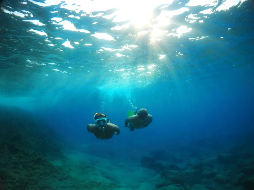 Genoa: Guided Snorkeling Tour in the Ligurian Sea