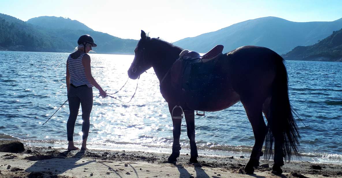 Gerês Braga: Horseback Ride in Peneda Gerês National Park