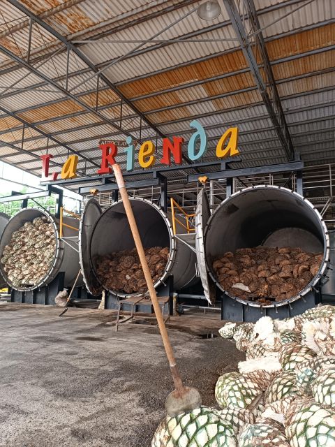 Get to Chile: Know Everything About Tequila in La Rienda - Overview of the Tour