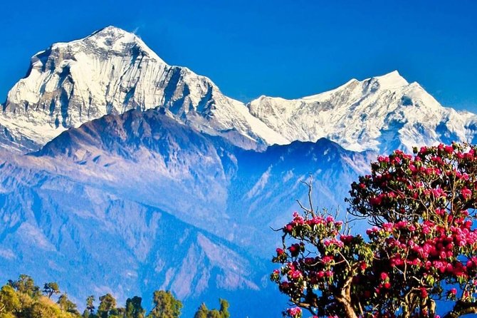 Ghorepani Poon Hill Sunrise Trek