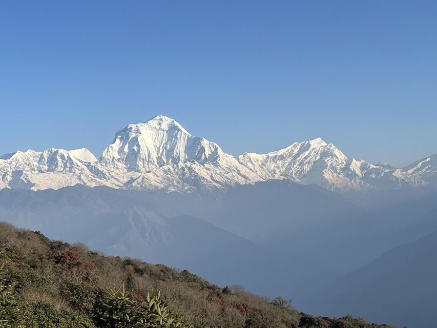 Ghorepani Poonhill Trek - Trek Overview and Pricing