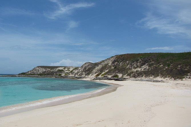 Gibbs Cay Stingray and Conch Dive Adventure