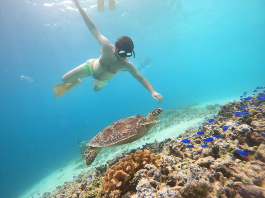 Gili T Island: Gili Snorkeling Day Trip Swim With Turtles