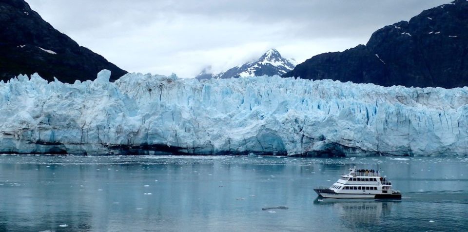 Glacier Bay: Glacier and Wildlife Catamaran Tour