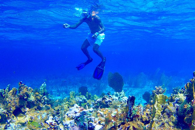 Glass Bottom Boat Ride/Snorkeling/Booby Cay Island From Negril