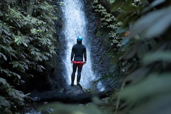 Glowworm Canyoning Adventure – Private Tour From Auckland