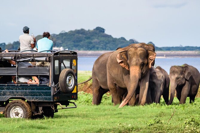 GO WILD! Double Safari Day Trip (Yala & Udawalawe) – Private & All Inclusive