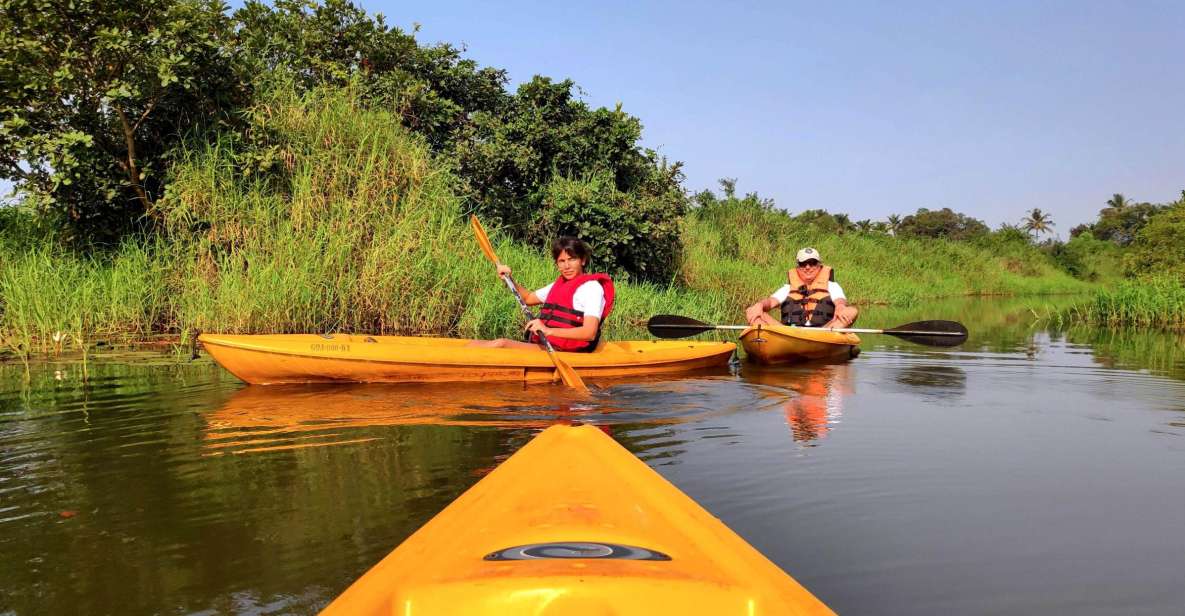 Goa: Backwaters and Mangrove Kayaking Experience