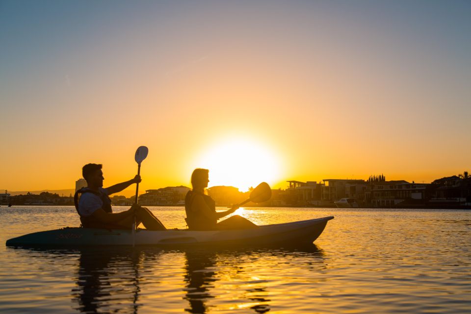 Gold Coast: Sunset Kayaking Tour to Macintosh Island