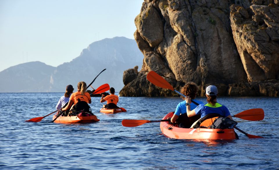 Golfo Aranci: Kayak Tour With Dolphins and Aperitif