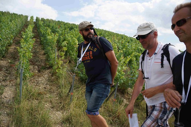 Gourmet Walk in the Heart of the Vineyards With Champagne Tasting Near Epernay