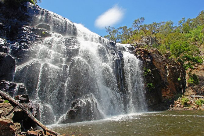 Grampians National Park Small-Group Eco Tour From Melbourne