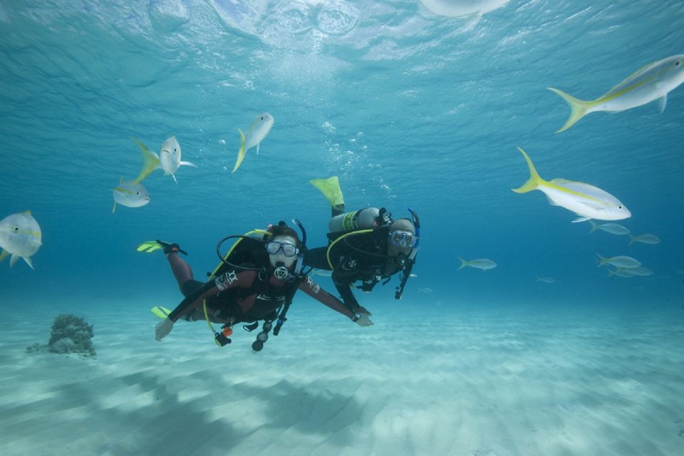 Gran Canaria: 3-Day PADI Open Water Diver Course - Course Overview