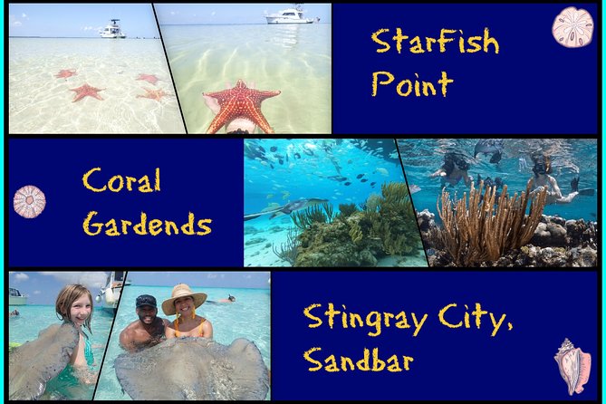 Grand Cayman Cruise: Starfish Point, Stingray City, Coral Garden