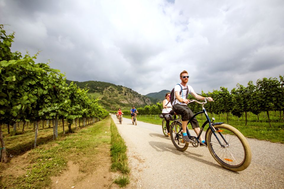 Grape Grazing: Wachau Valley Winery Biking Tour