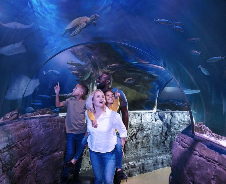 Grapevine: SEA LIFE Grapevine Aquarium General Admission