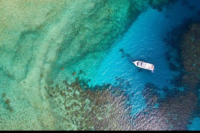 Great Barrier Reef Dive and Snorkel Cruise From Mission Beach - Activities and Experiences