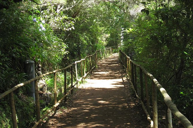 Green Cauldron Levada Walk From Funchal