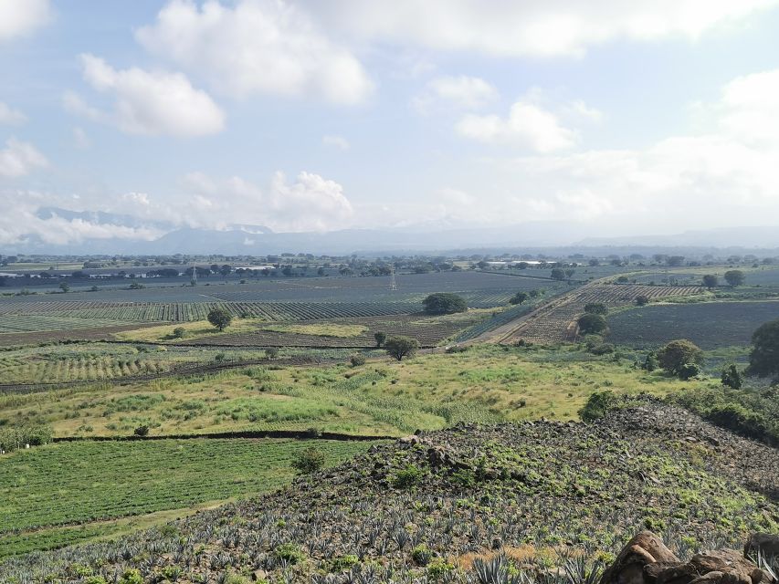 Guadalajara: Horse Riding on the Tequila Route With Tastings - Tour Details