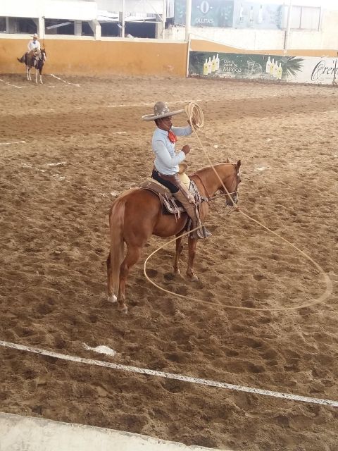 Guadalajara Tour and Charreria Show (Mexican Cowboys Show) - Guadalajara Downtown Tour Overview