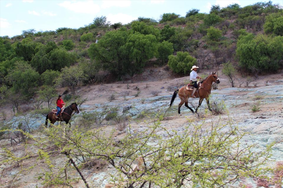 Guanajuato: Horse Ride Tour