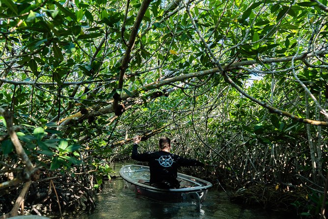 Guided Clear Kayak Eco-Tour Near Key West