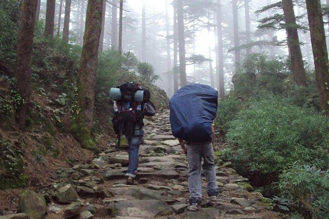 Guided Day Hike to Guna Devi Temple From Mcleodganj