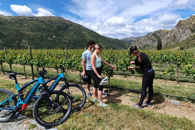 Guided Ebike Wine Tour Ride to the Vines