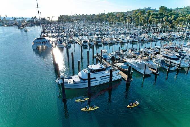 Guided Kayak Wildlife Tour in the Santa Barbara Harbor