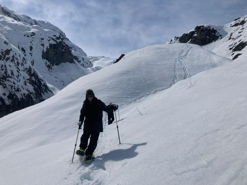 Guided Snowshoeing Adventure From Seward, Alaska