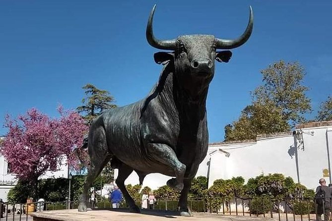 Guided Tour in Ronda