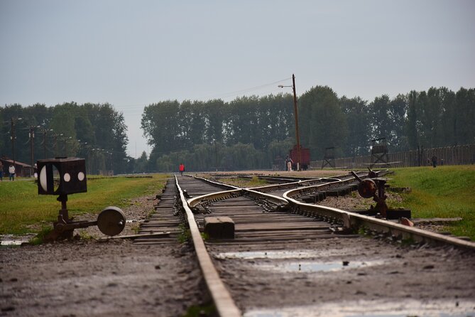 Guided Tour Krakow to Auschwitz-Birkenau With Pickup Options