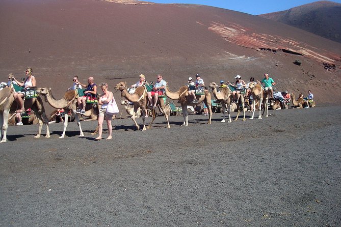 Guided Tour: Timanfaya National Park and La Geria With Pick-Up