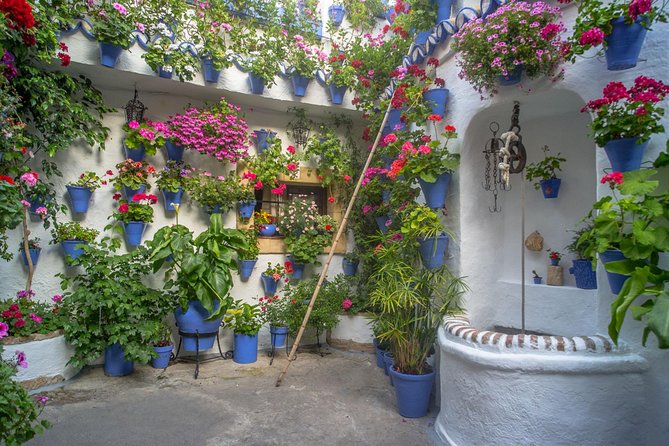 Guided Tour to the Popular Patios of Cordoba