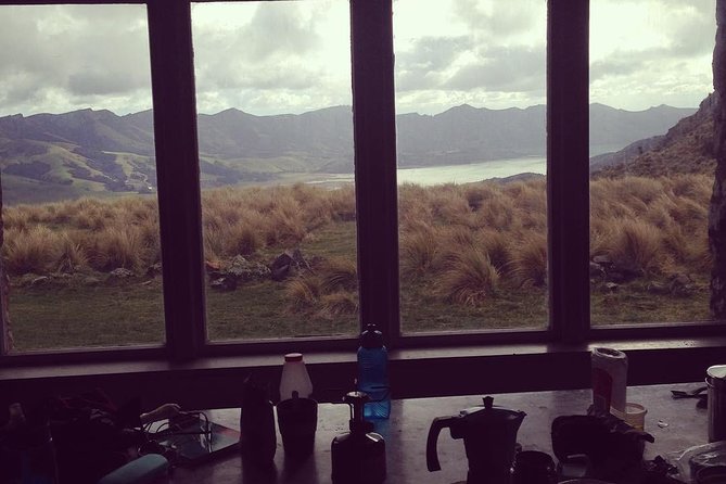 Guided Walk & Scenic Drive From Christchurch- Port Hills & Packhorse Hut