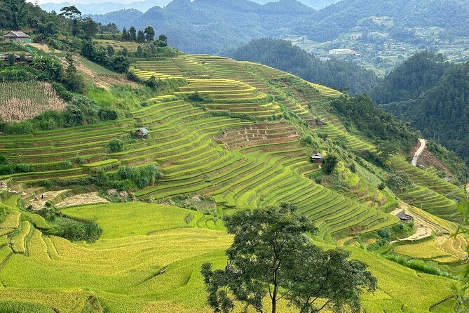 Ha Giang Comfort Car Ride 4D3N