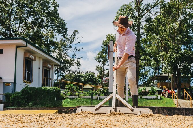 Hacienda Doka Coffee Experience Tour