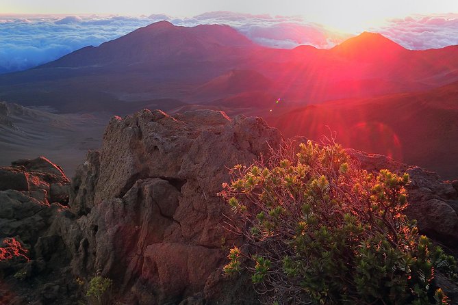 Haleakala Sunrise Tour With Breakfast WEST SIDE Pickup