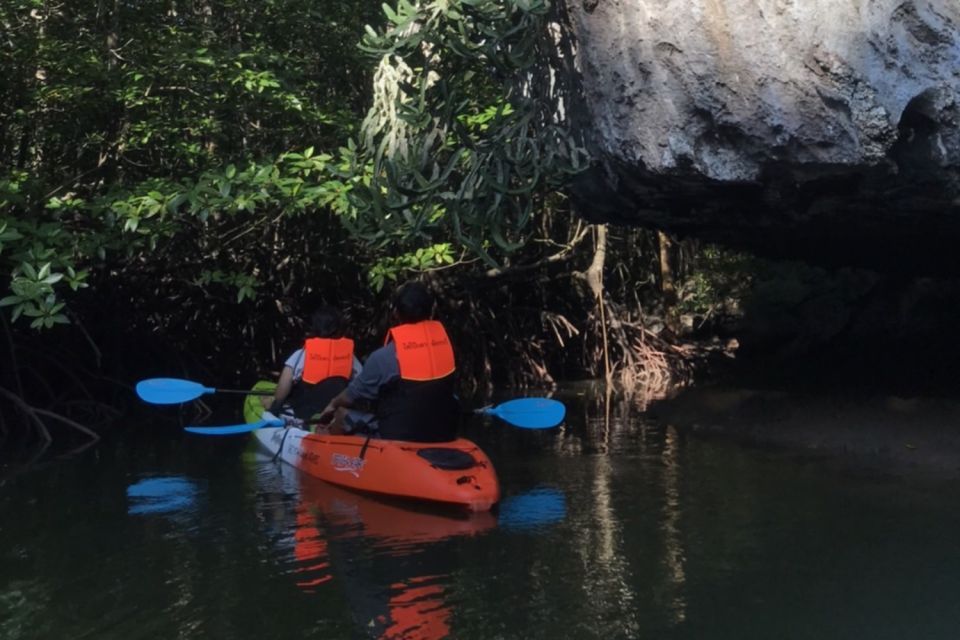 Half Day Adventure Kayaking at Mangrove Forest