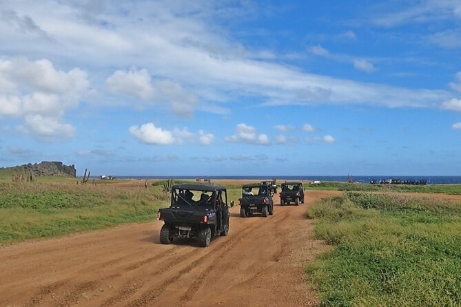 Half-Day Aruba UTV Adventure Tour