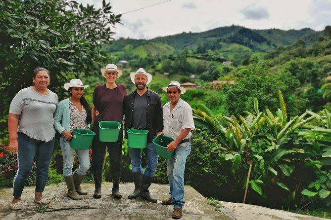 Half-Day Coffee Plantation Tour: Very Educational and Fun