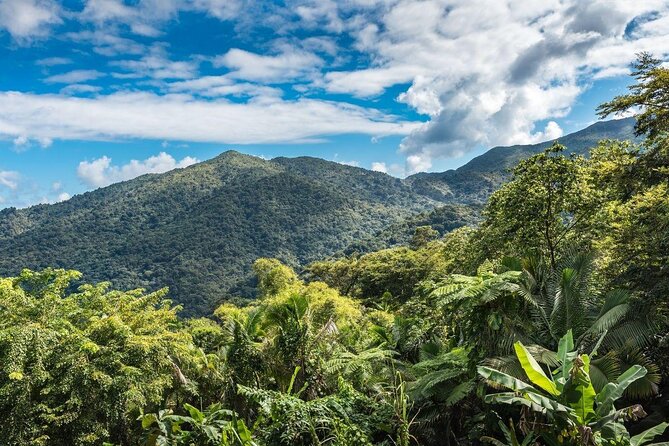 Half-Day El Yunque Waterslide Excursion - Experience and Activities