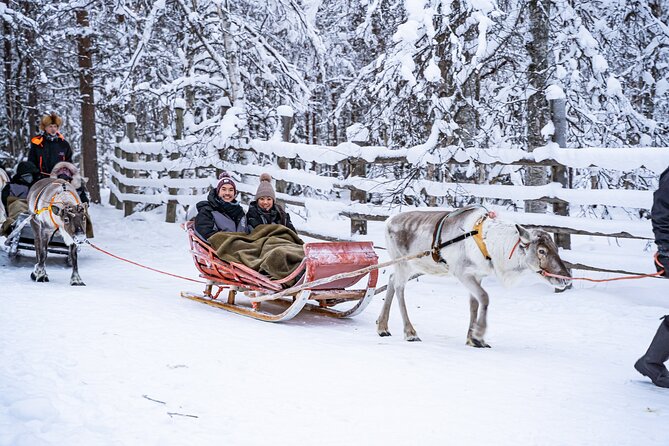 Half-Day Experience in Local Reindeer Farm in Lapland - Overview of the Experience