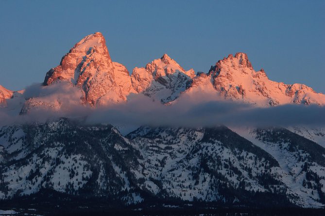 Half-Day Grand Teton Wildlife Private Safari Tour