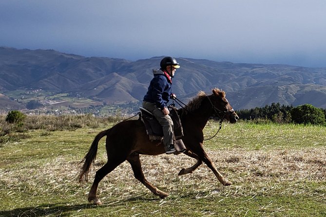 Half Day Horseback Riding Tour Around Sacsayhuaman Park