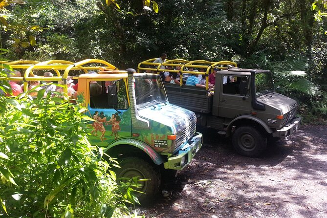 Half Day Jeep Safari