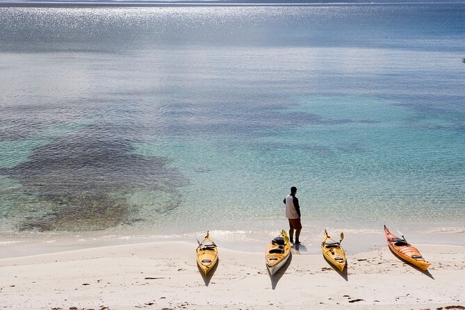 Half-Day Jervis Bay Sea Kayak Tour