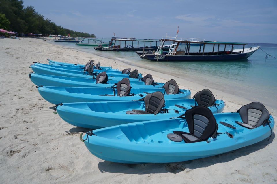 Half Day Kayak or Stand up Paddle Board